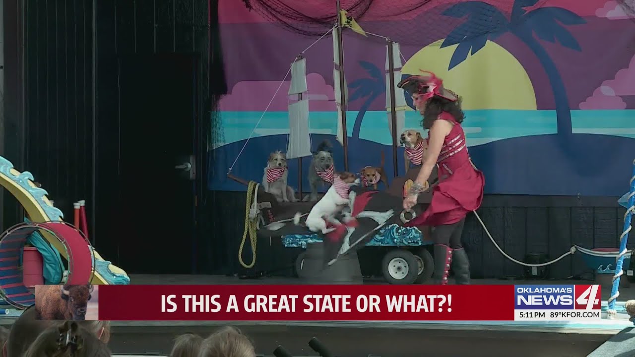 Puppies Of Penzance Perform On The Plaza Stage At The State Fair Of puppies-of-penzance-perform-on-the-plaza-stage-at-the-state-fair-of