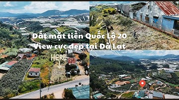Bán Đất Mặt Tiền Quốc Lộ 20 Đà Lạt | View Đẹp, Cách Chợ Đà Lạt 15km, 1567m², Vừa Ở Vừa Kinh Doanh