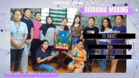 DIORAMA MAKING IN TECHNOLOGY AND TEACHING LEARNING (TTL) BEED- first year