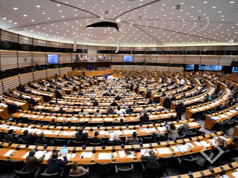 ევროპარლამენტარები საქართველოს ხელისუფლებას აკრიტიკებენ