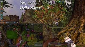 Unknowm Mantra. Darkfall New Dawn. How to use a cheats