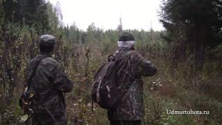 На лося "на реву" (сокращенный вариант) Elchjagd Russland elk hunt Russia