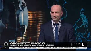 QE Inventor on Hungarian News! Richard Werner Speaks Truth to Eastern Europe