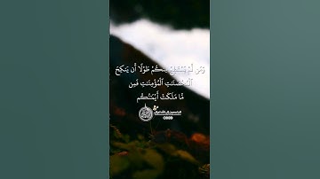 ماهر المعيقلي - سورة النساء ( برواية حفص عن عاصم ) الأية 25