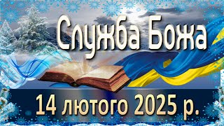 :   14   2025 .