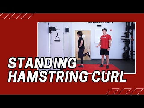 Standing Hamstring Curl | Cable Machine Exercise
