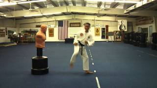 Flying Side Kick