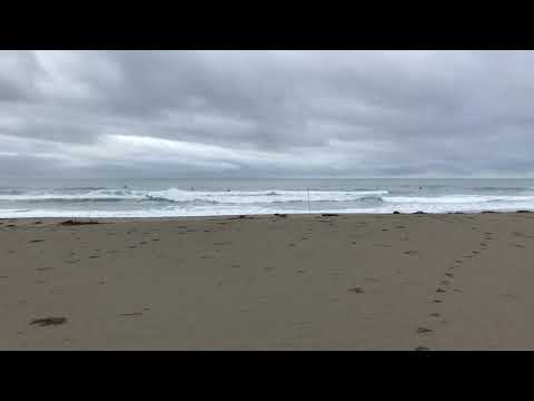 入野松原 8 21 Am6 30 波情報 四万十川 Youtube