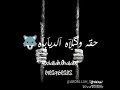 هي غابه حالات واتس