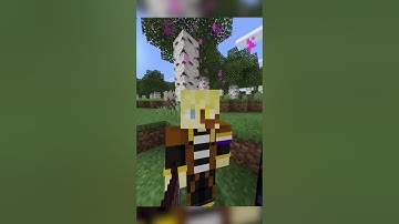 How To link Nether Portals in Minecraft Tutorial