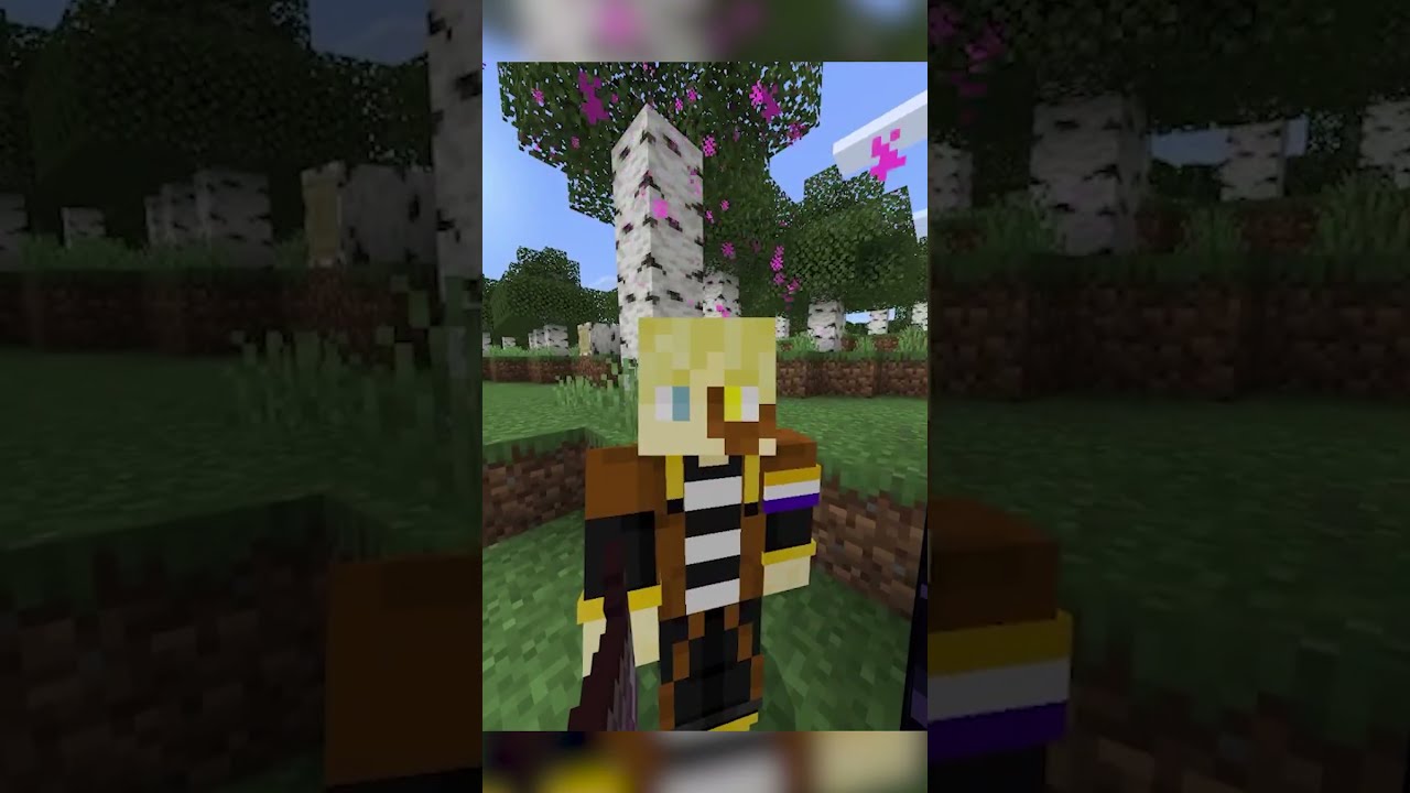 How To Link Nether Portals In Minecraft Tutorial