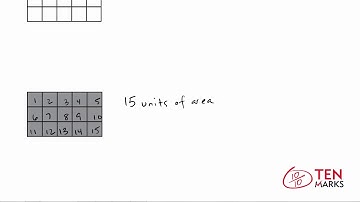 Identifying Area of a Rectangle by Counting Unit Squares: 3.MD.5a
