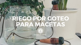 El Riego Por Goteo Inteligente: La Forma Más Fácil y Efectiva De Regar Tus Plantas ?