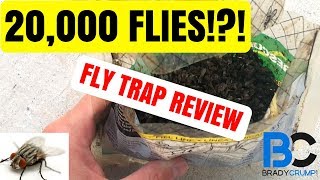 Best Fly Trap | The Rescue Fly Trap Review