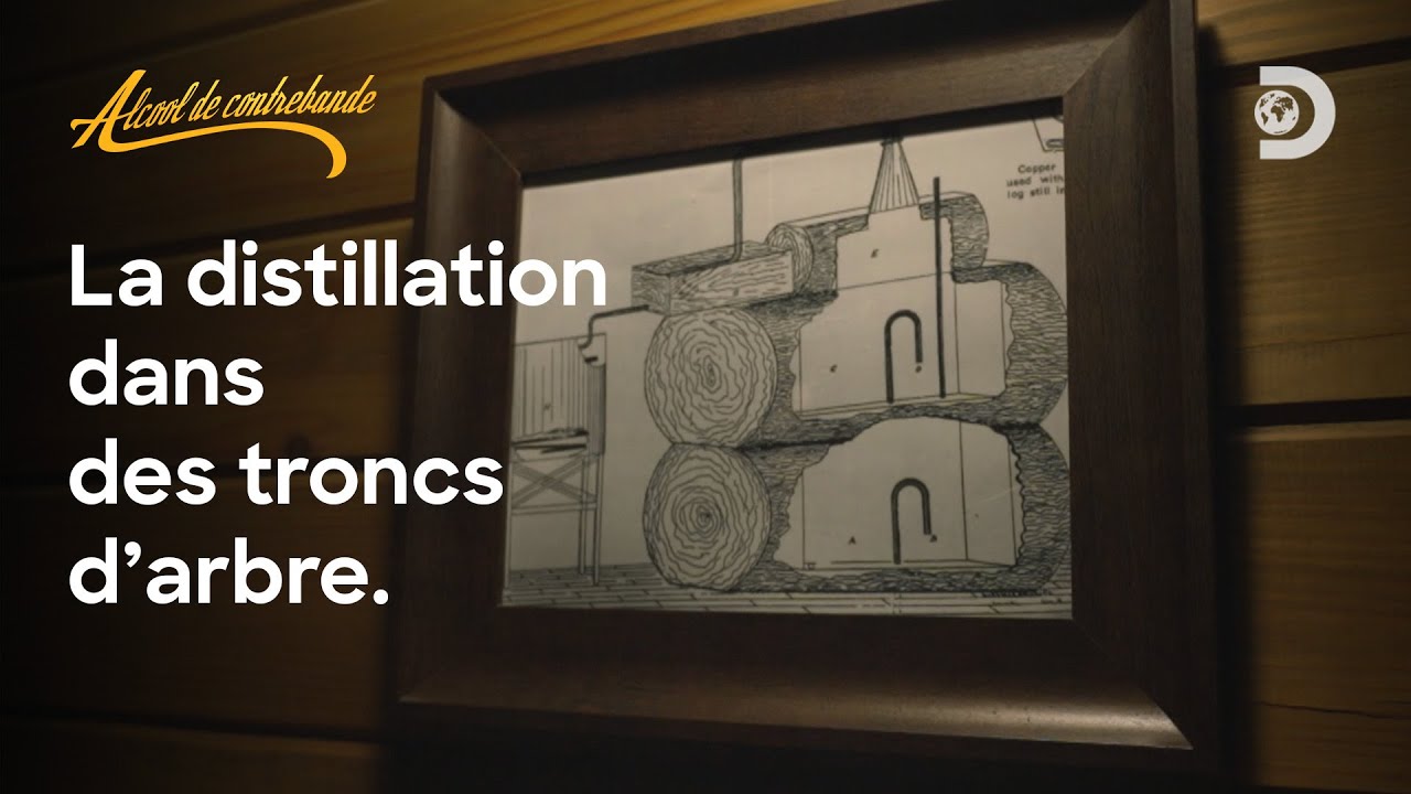 Tree Distiller Distillation in tree trunks | Alcool de contrebande - YouTube