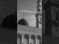 Hadith of Prophet Muhammad #islamic #short