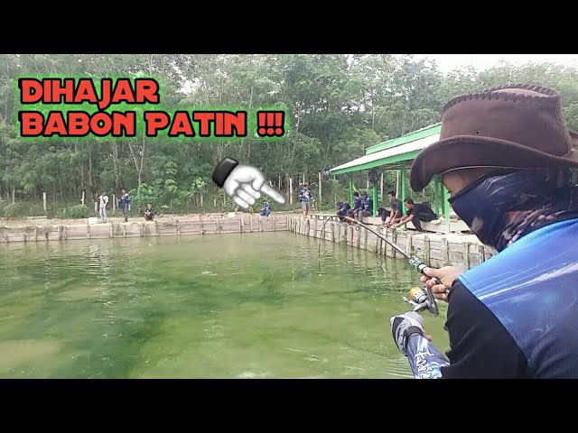 MANCING PATIN KOLAM HARIAN !!! || MABAR NYA AHFC class=