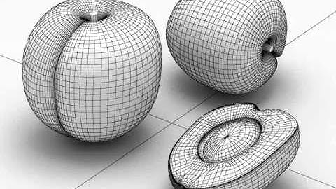 3D Model of Apricot Review