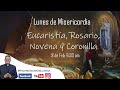 LUNES DE MISERICORDIA: EUCARISTÍA, ROSARIO, NOVENA Y CORONILLA; 9 DÍAS CON LA VIRGEN DE LOURDES