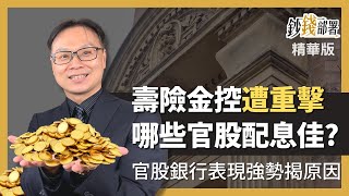 精華💰防疫險重擊壽險金控股 金融股其實有其他選擇 !《鈔錢部署》盧燕俐 ft.陳唯泰 202200810