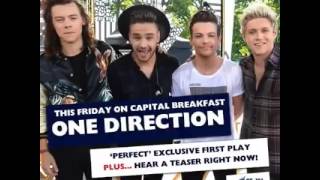 Prévia do novo sigle Perfect One Direction
