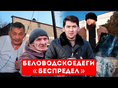 Video: Коллекция барагы - баары таза