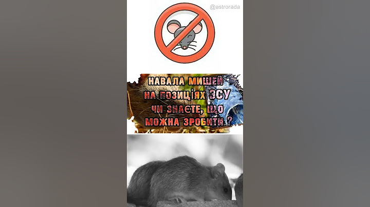 Навала мишей на позиціях бійців. Чи знаєте що робити?