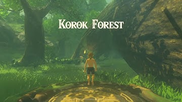 Moon Jump Wrong Warp (MJWW) - Breath of the Wild