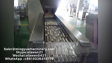 High speed capsule and tablet counting machine . Auto capsule counting machine
