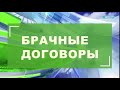 Увеличение количества брачных договоров в период изоляции, сюжет на телеканале Санкт-Петербург