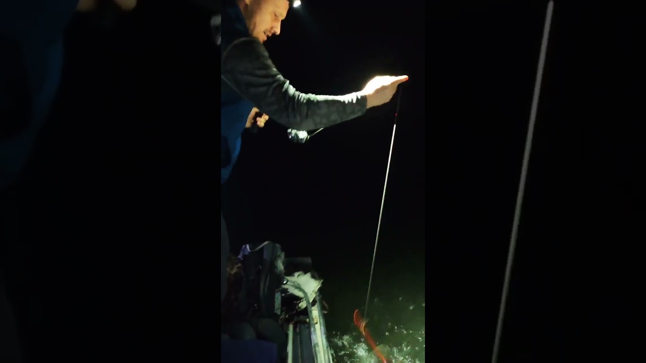 How To Build Ultra Compact Crossbow Fishing Rig (BALLISTA BAT