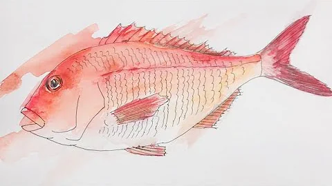 タイの絵