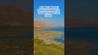 O Mar Mort0 Está Secando E Dando Lugar A Vida. Observem A Vegetação Na Orla.