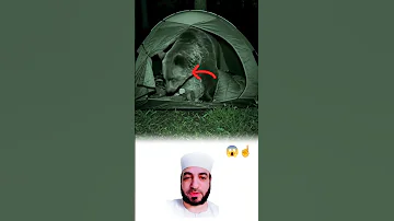 حين يغفل الإنسان عن يقظته قد يقترب الخطر منه دون أن يشعر 
