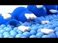 Samsung Logo Balls Effects Round 1 Hara Aram Vs Everyone 