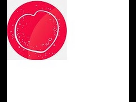 Стриктура Мочеточника.