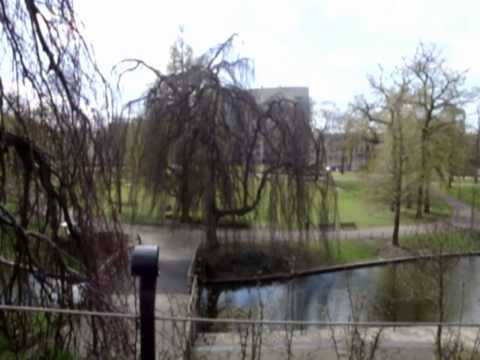 Guarda I DON'T WANT TO LOSE YOU*... su YouTube