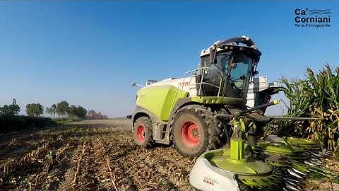 Corn Silage | Claas Jaguar 970 + Orbis 750 | Ca’ Corniani & Genagricola