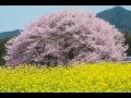 松山千春 春 夏 秋 冬 【弾き語り】