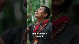 Canción por los Bosques del #Yasuní del Defensor Indígena Alex Lucitante