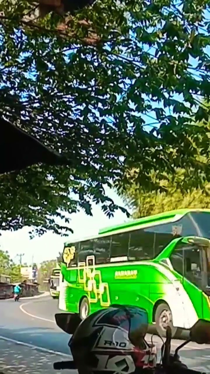 Sahabat Sejati Petualangan: Mengupas Dunia Bus Pariwisata