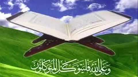 سورة الناس بصوت القارئ عامر الكاظمي