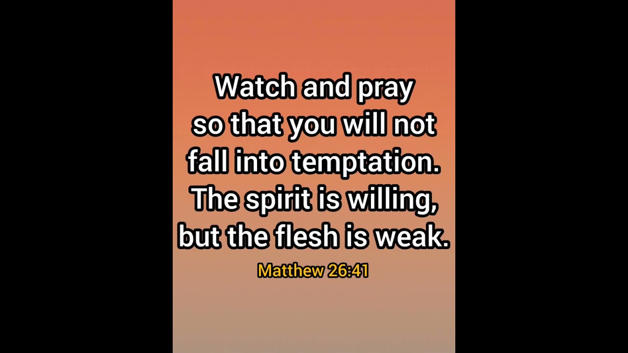 Matthew 26 41 Bible Verse Daily Bible Verse Verse Short Bible