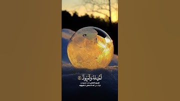 سورة الإخلاص القارئ شريف مصطفى