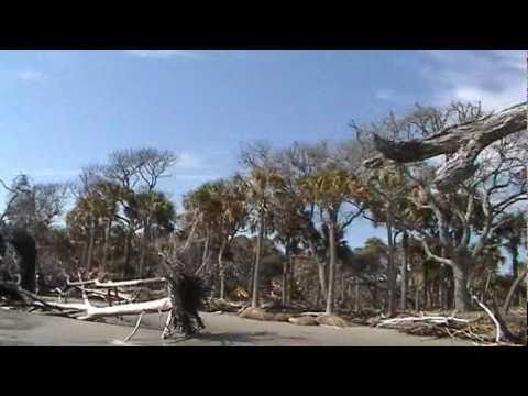 Hunting Island State Park Tour-1, February 18, 2011