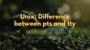 Unix: Difference between pts and tty