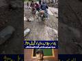 temporary bridge on naran chilas road is effected