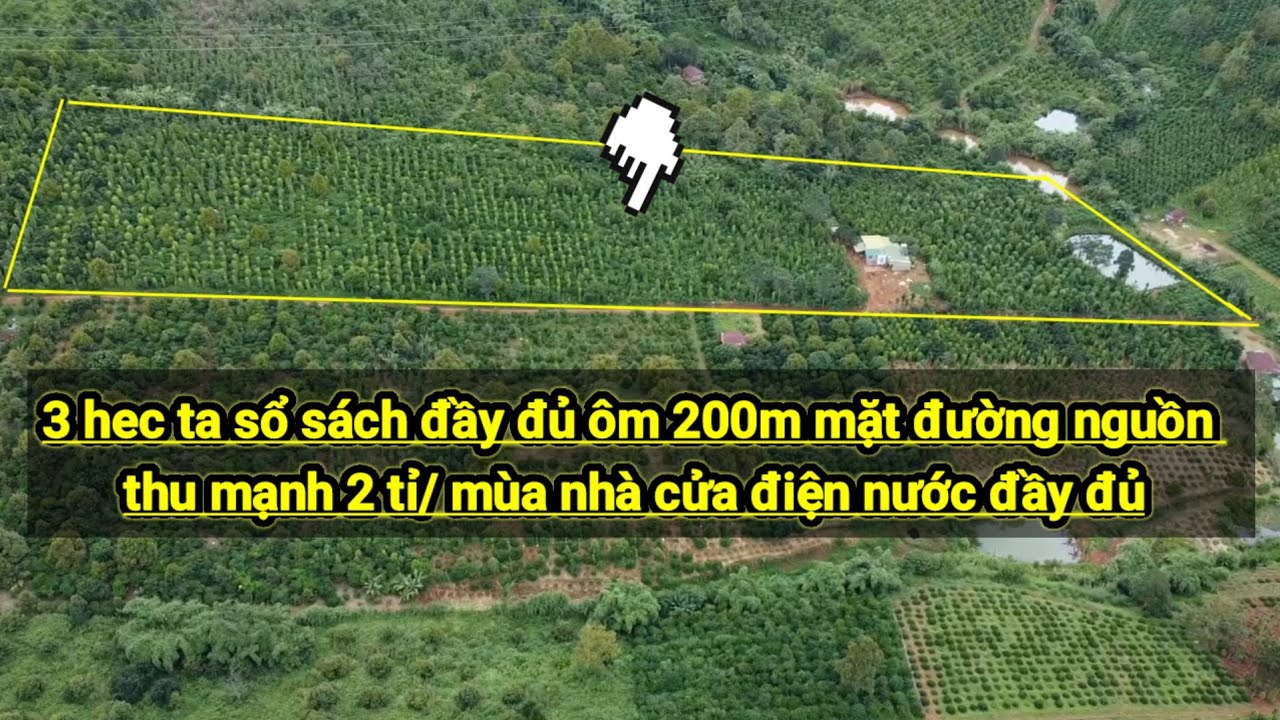 3ha sổ đầy đủ nguồn thu mạnh! đất vuông vắn triền đẹp khuất gió nhà cửa điện nước đầy đủ(ĐÃ BÁN)