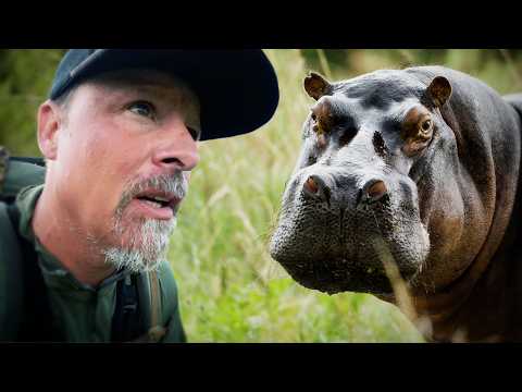 Close Calls With Africa's Most Dangerous Wildlife!