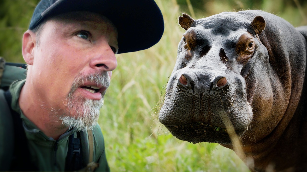 Close Calls With Africa's Most Dangerous Wildlife!